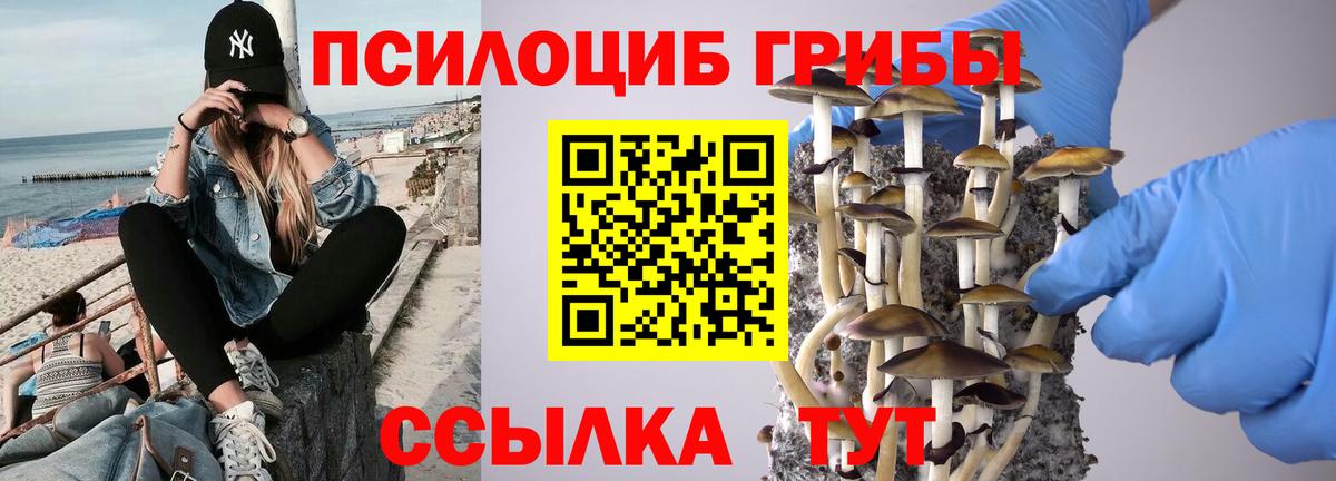 Коломна  Галлюциногенные грибы GOLDEN TEACHER  Вход с VPN  Псилоцибиновые грибы прущие грибы 